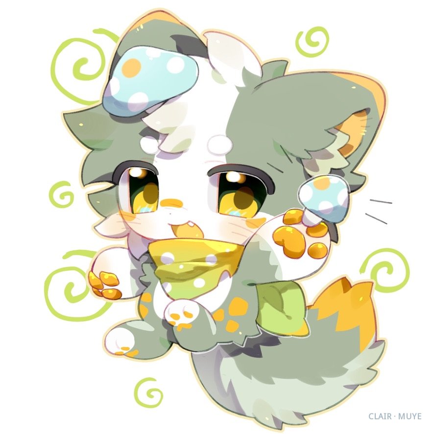 补充 · 029